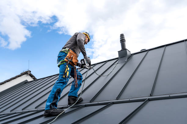 Best Sheet Metal Roofing  in Eggertsville, NY